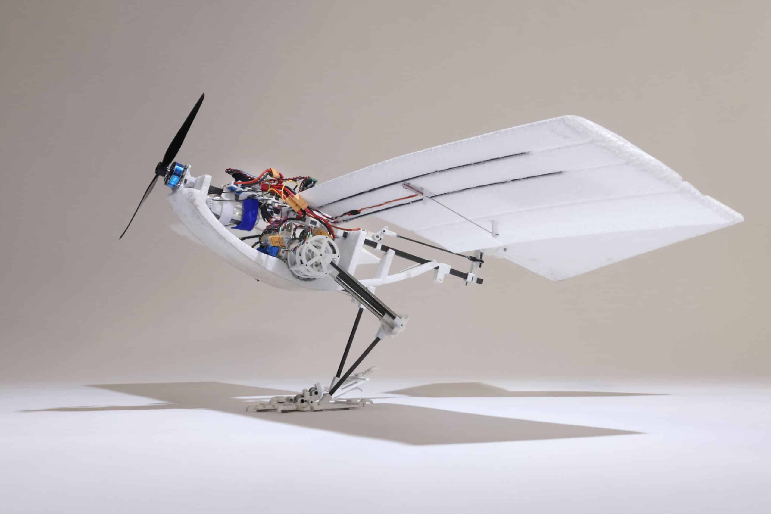 PACK Lab Robotic Bird Wing System